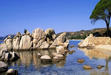 [图]英超-B费点射凯塞多破门 曼联1-1切尔西.